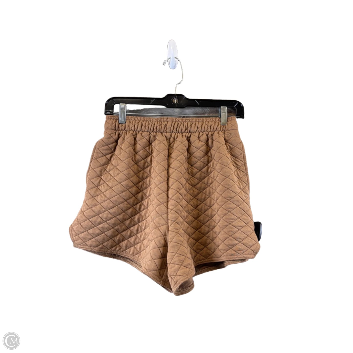 Athletic Shorts By Dsg Outerwear In Brown, Size: S