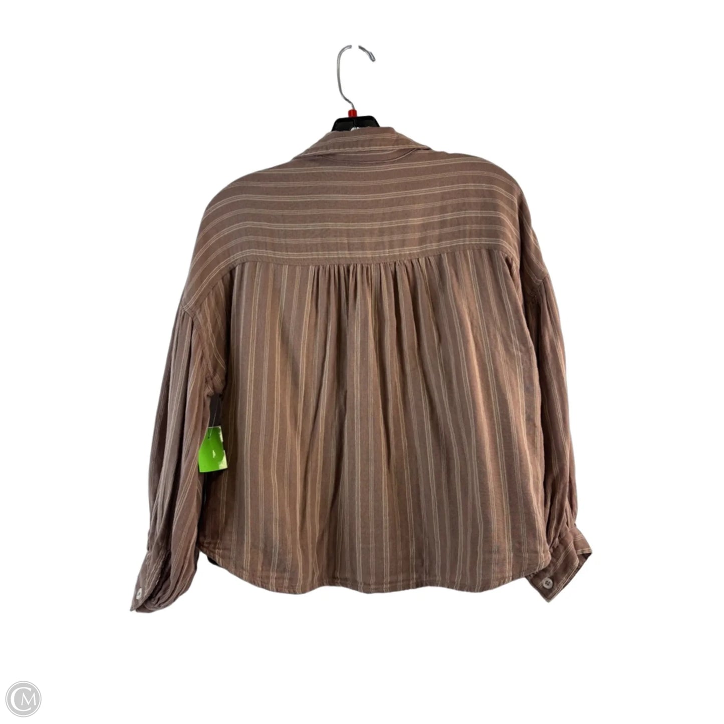 Top Long Sleeve By Max Studio In Brown & Cream, Size: S