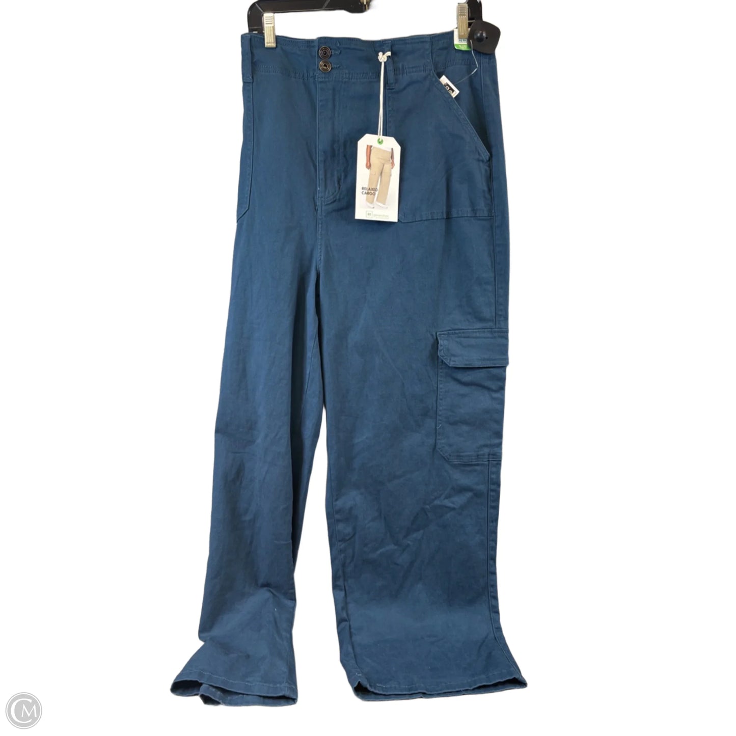 Pants Cargo & Utility By Clothes Mentor In Blue, Size: 22