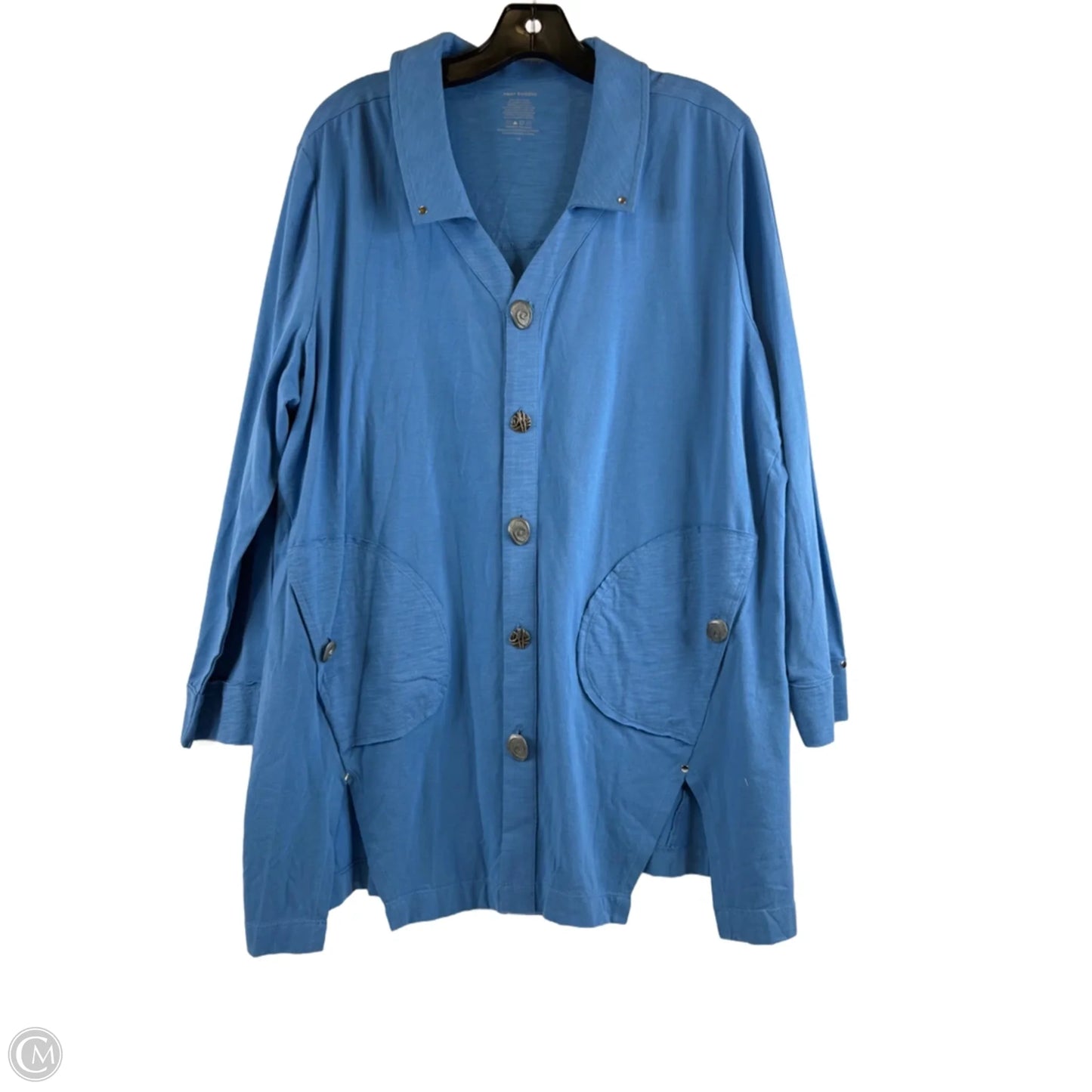 Top Long Sleeve By Neon Buddha In Blue, Size: 1x