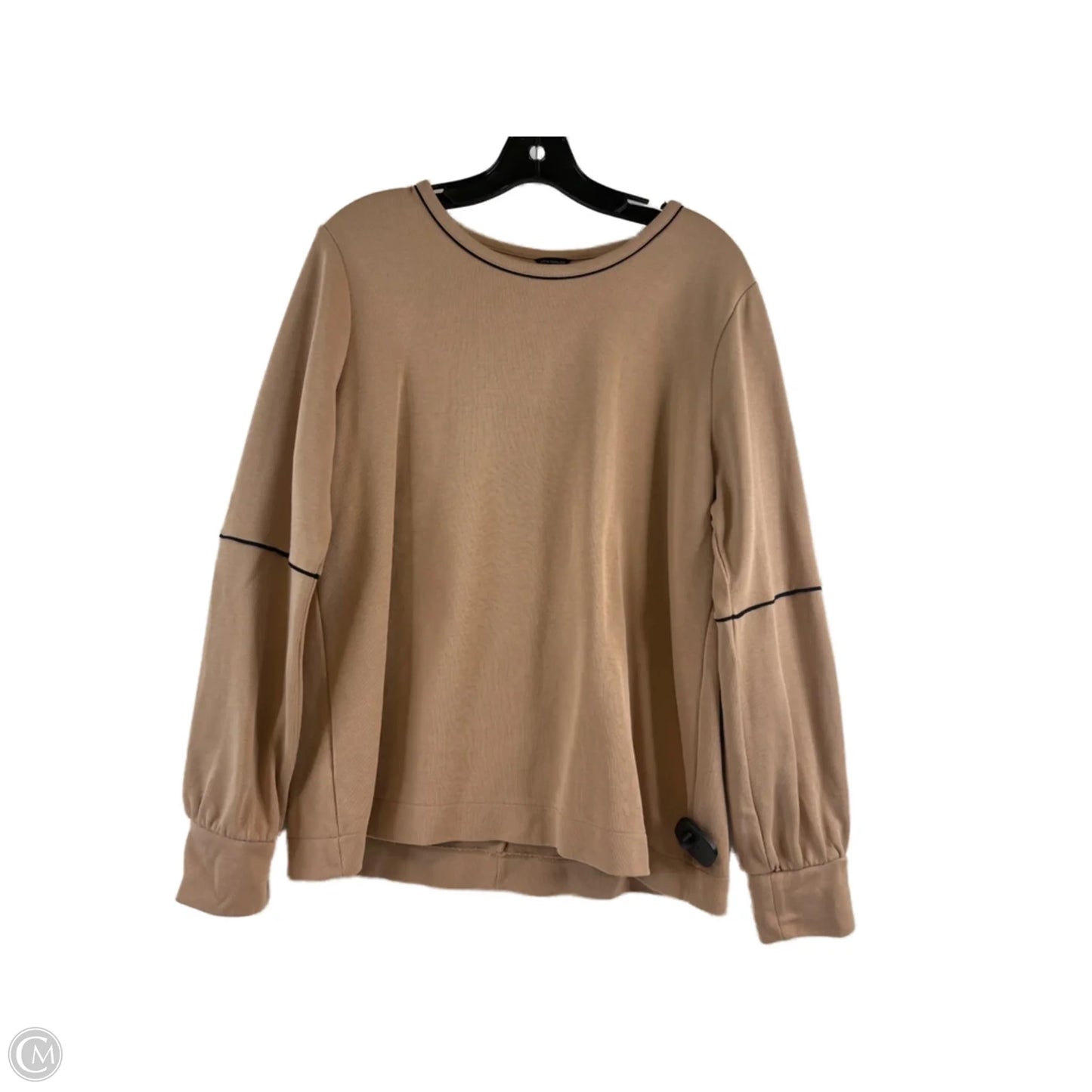 Top Long Sleeve By Ann Taylor In Tan, Size: L
