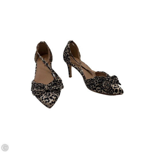 Shoes Heels Kitten By Torrid In Animal Print, Size: 9.5