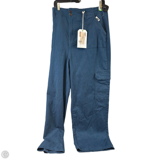 Pants Cargo & Utility By Clothes Mentor In Blue, Size: 22