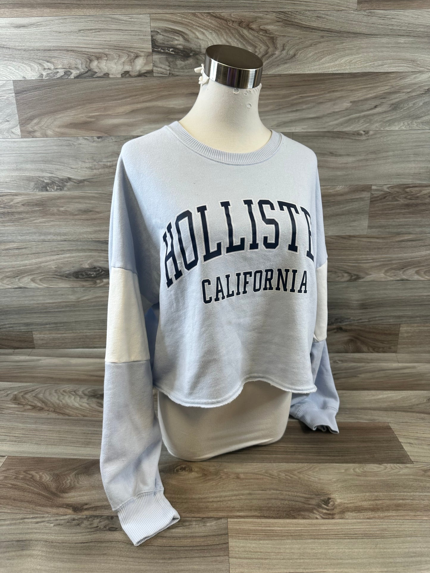 Sweatshirt Crewneck By Hollister In Blue, Size: M